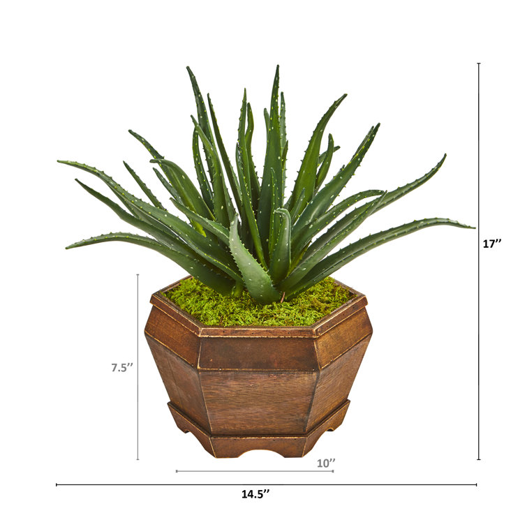 Bay Isle Home 17'' Faux Aloe Plant in Plywood Planter Wayfair